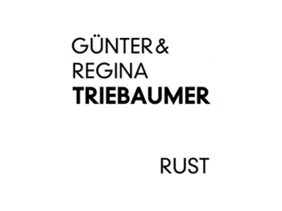 /assets/clients/ehemalige/guenther-regina-triebaumer.png
